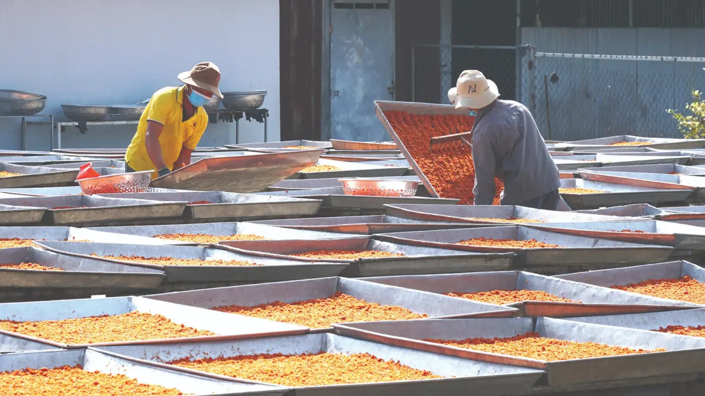 Muối Tôm Tây Ninh
