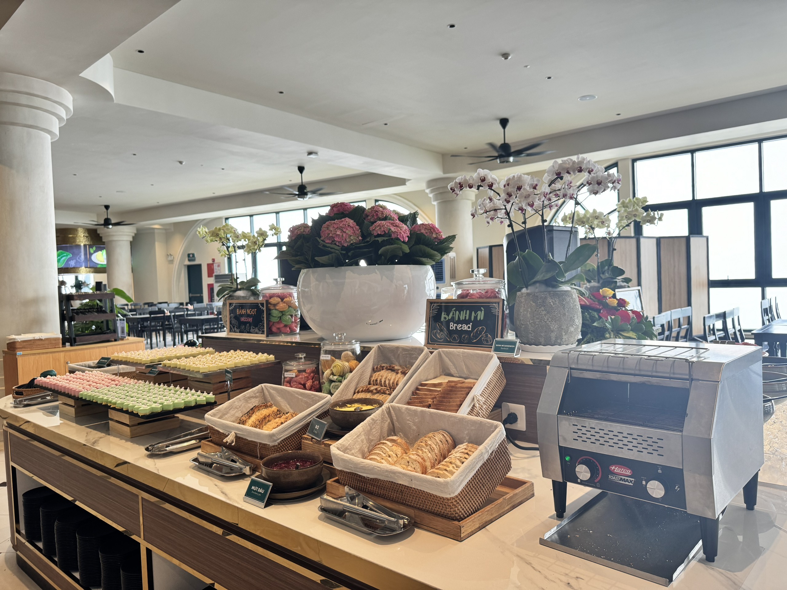 Vé Combo Cáp Đỉnh Vân Sơn - Chùa Hang + Buffet (Combo 3 in 1) - Ảnh 32